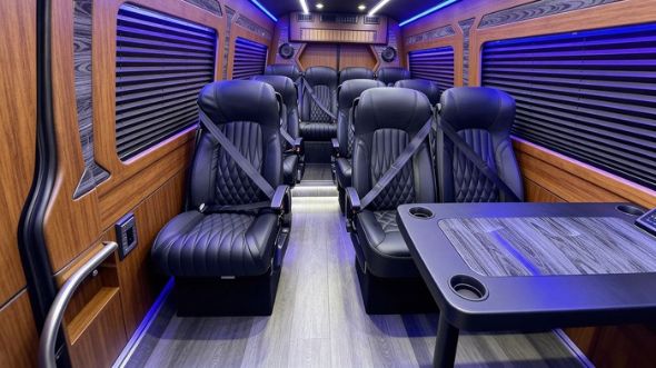18 passenger sprinter van rental st petersburg