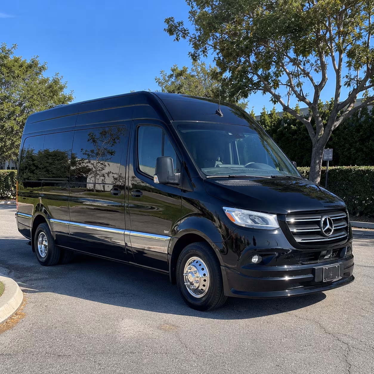 st petersburg 10 passenger sprinter van