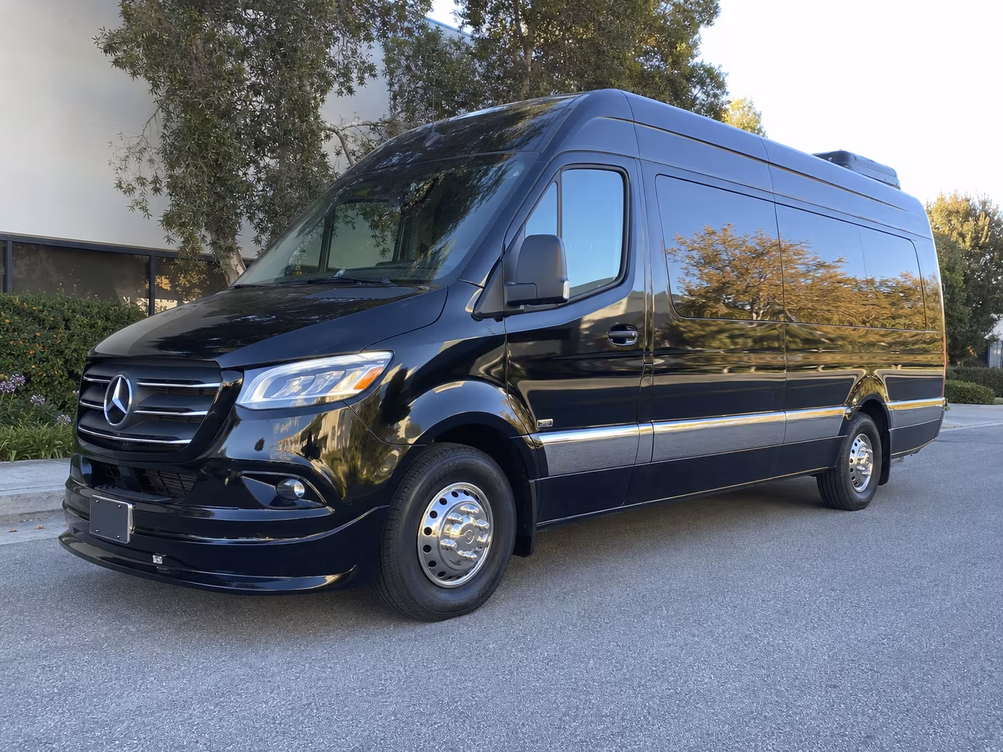 st petersburg wedding sprinter van rental