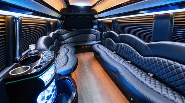 st petersburg sprinter limousine interior
